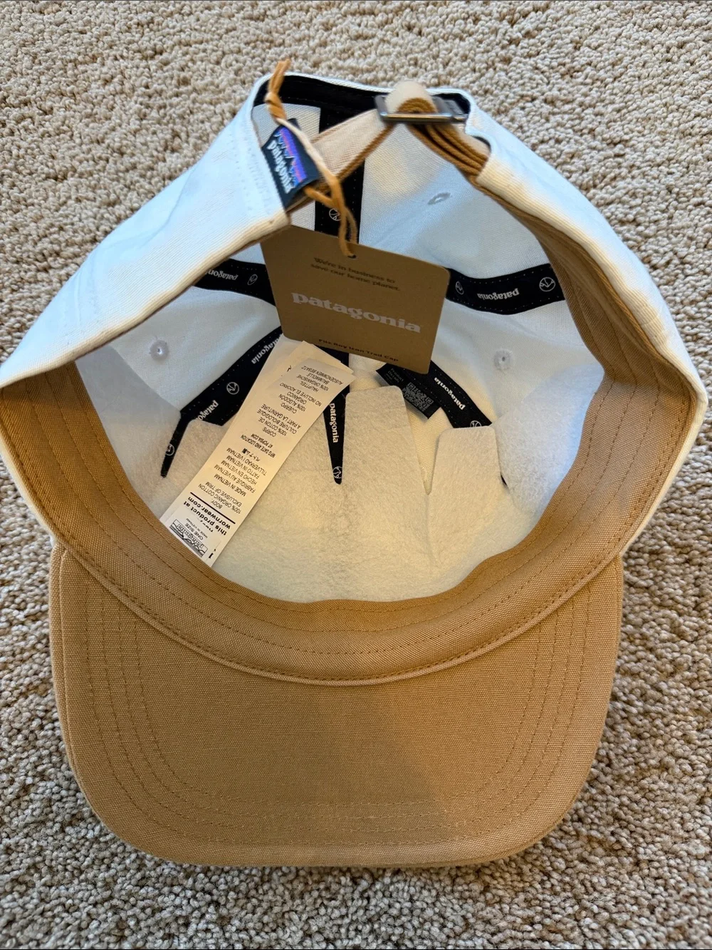 NWT Patagonia Fitz Roy Icon Trad Cap